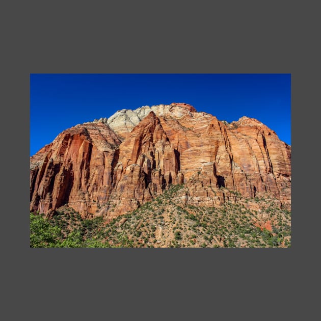 Zion National Park by Rob Johnson Photography