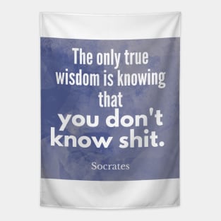 Socrates Quote - we don't know shit Tapestry