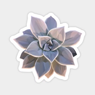 Geometrical Grey Succulent Magnet