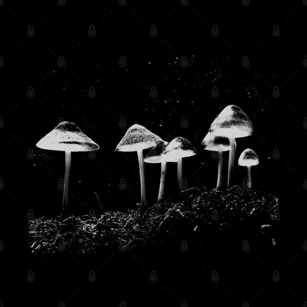 Mushroom Photograph Black & White by blueversion