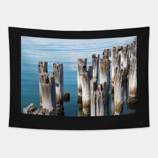 Old wooden piles in clear blue water in Melbourne, Australia. Tapestry