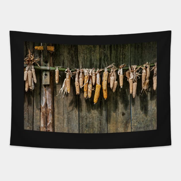 Drying corn cobs. Tapestry by bulljup