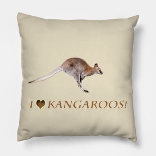 Kangaroo Pillow