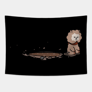 RJ Tapestry