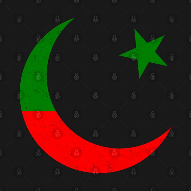 PTI Flag by valentinahramov