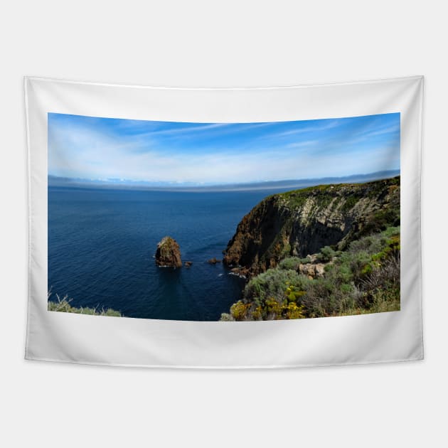 Channel Islands National Park Santa Cruz Tapestry by supernova23