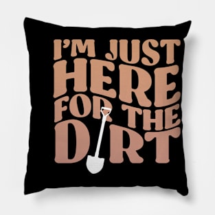 dirt Pillow