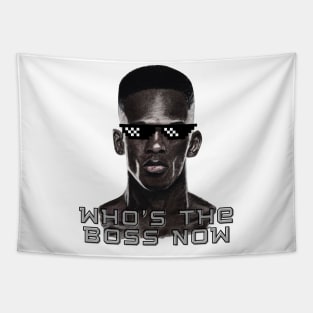 Israel Adesanya, who's the boss now, Tapestry