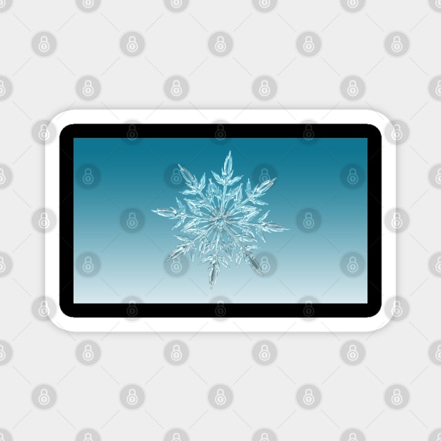 Snowflake Magnet by MajorCompany
