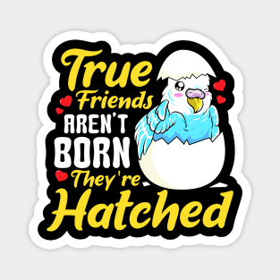 Cute True Friends Aren't Born, They're Hatched Magnet