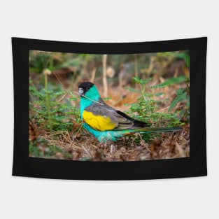 Hooded Parrot, Northern Territory Tapestry