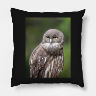 Barking Owl, Australian Birdlife Pillow