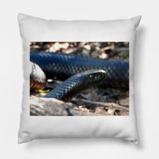 Red-bellied Black Snake Pillow