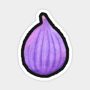 Watercolor common figs Magnet