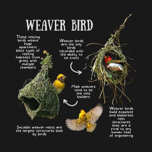 Animal Facts - Weaver bird T-Shirt