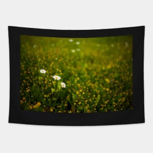 Wild flowers in a field Tapestry