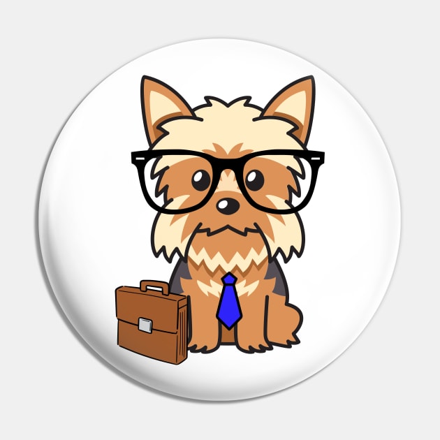 Funny yorkshire terrier is on the way to work Pin by Pet Station