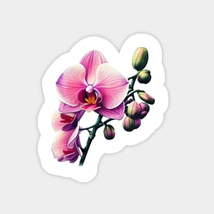 Pink Orchid Magnet
