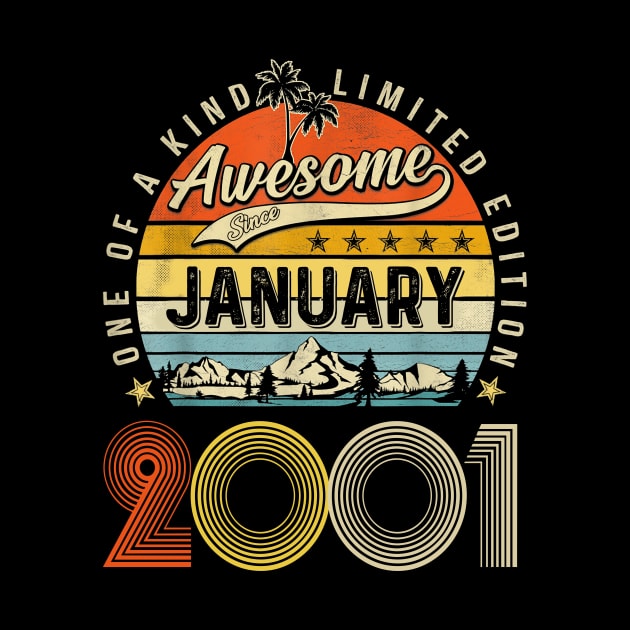 Awesome Since February 2001 Vintage 22nd Birthday by PlumleelaurineArt