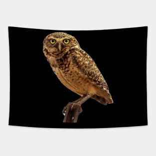 cute owl Tapestry