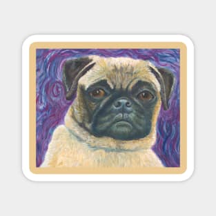 Pug In A Funk Magnet