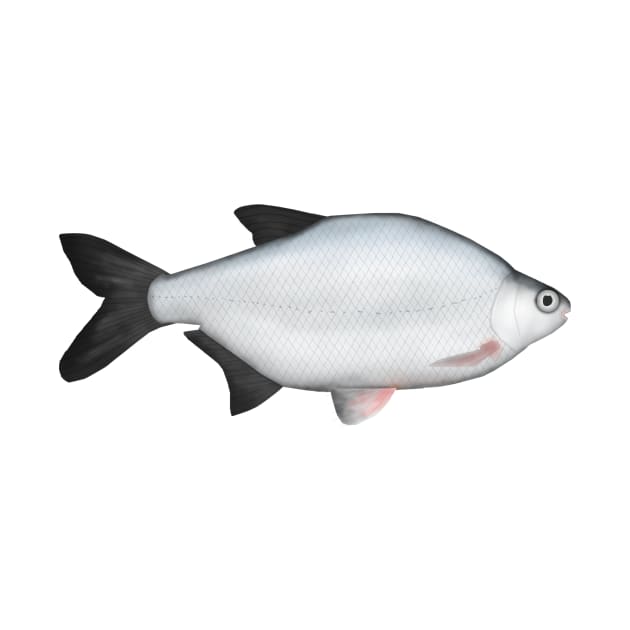 Silver Bream by FishFolkArt