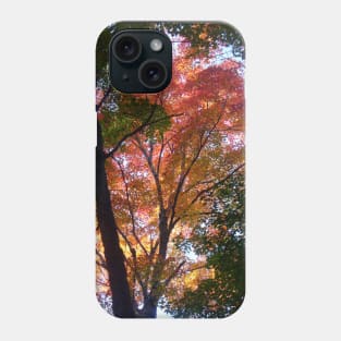 Indian Summer Phone Case