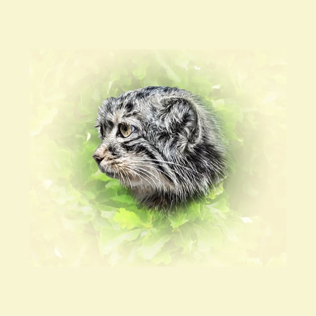 Manul-Pallas's cat by Guardi