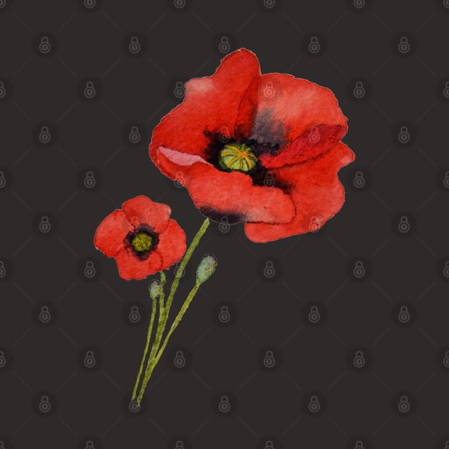 Watercolour Poppies by Kirsty Topps