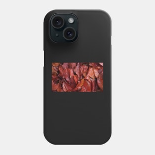 Prunus in Autumn - Avril Thomas at Magpie Springs Phone Case