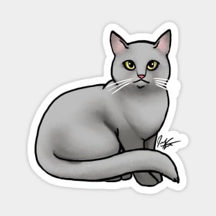 Cat - British Shorthair - Gray Magnet