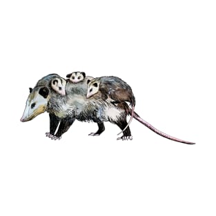 mother opossum T-Shirt