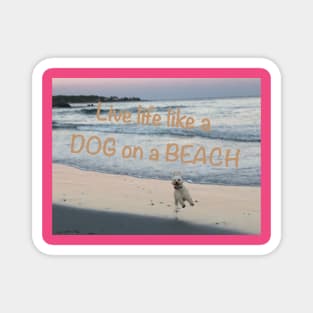 Live life like a dog on a beach Magnet