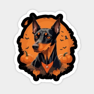 Doberman Pinsher Dog Pumpkin Halloween Costume Magnet