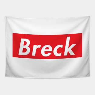 Ski Breck Breckenridge Colorado Skiing Skateboard Snowboard Laptop Tapestry