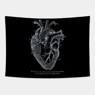 Parts of Heart' Cardiology Parts of the Heart Tapestry