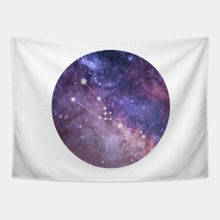 Taurus Sign in the Dark Pink Starry Night Sky Tapestry