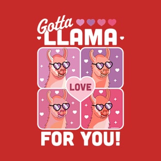 Gotta Llama Love For You Valentine's Day Llama Alpaca Funny T-Shirt