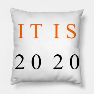 it is 2020 Pillow