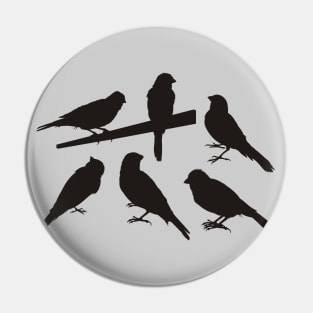 Singing Pet Bird Silhouettes Black Pin