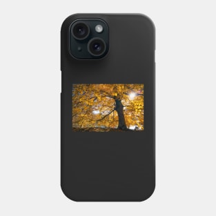 Golden sunshine in the fall in Central Park, New York Phone Case