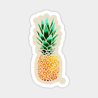 Pineapple Magnet