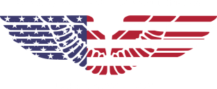 Liberty by John Adams Magnet