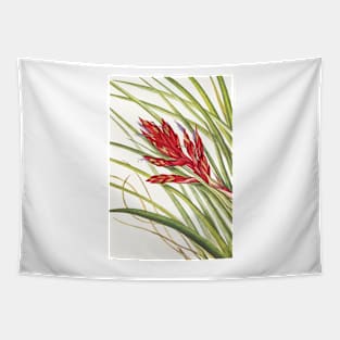 Giant airplant - Botanical Illustration Tapestry