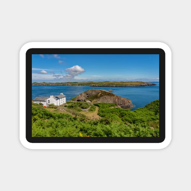 A view towards the white farmhouse on RSPB Ramsey Island, Pembrokeshire Magnet by yackers1