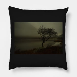 MIST OVER LLYN DINAS LONE TREE Pillow