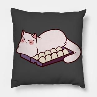 Egg Carton Cat Pillow