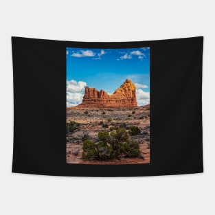 A Rock Formation in Arches National Park Tapestry