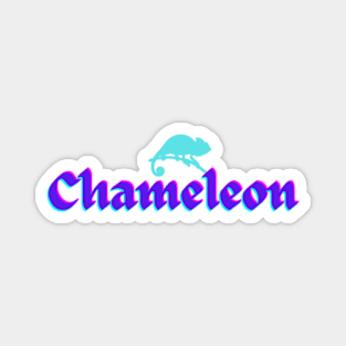 Chameleon Magnet