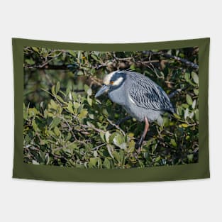 Yellow Crowned Night Heron Perched Tapestry